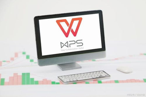 二級WPS Office考試內(nèi)容詳解 網(wǎng)絡與信息安全軟件開發(fā)方向
